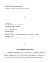 Tiroksinas T4 12 puslapis
