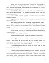 Tokijo miestas 7 puslapis
