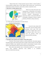 Tokijo miestas 8 puslapis