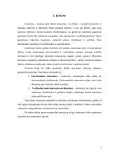 Topografinė nuotrauka 2 puslapis