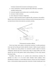 Topografinė nuotrauka 6 puslapis