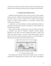 Topografinė nuotrauka 8 puslapis
