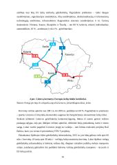 Lietuvos transporto geografija 16 puslapis