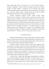 Trisdešimtmetis karas 8 puslapis