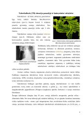 Tuberkuliozė 3 puslapis