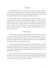 Vėlyvųjų viduramžių estetika ir kasdienybė 7 puslapis