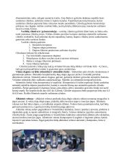 Vidaus degimo variklis 3 puslapis