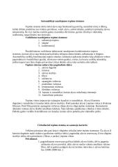 Vidaus degimo variklis 10 puslapis