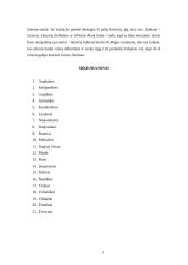 Vilnius - Lietuvos sostinė 5 puslapis