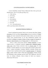 Vilnius - Lietuvos sostinė 6 puslapis