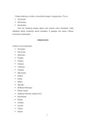Vilnius - Lietuvos sostinė 7 puslapis