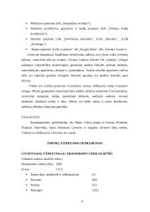 Vilnius - Lietuvos sostinė 9 puslapis