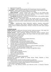 Finansų teisės esmė 12 puslapis