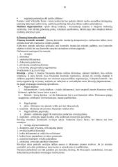 Finansų teisės esmė 16 puslapis