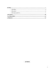 Tarpinio įsiminimo tyrimas, naudojant L.S. Vygotskio metodiką 2 puslapis