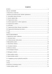 Įmonės veiklos analizė: kapaviečių tvarkymo ir antkapinių paminklų gamybos įmonė