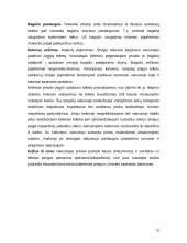 Keleivių vežimo paslaugų teikimo technologijos analizė: UAB "Alytaus autobusų parkas" 11 puslapis
