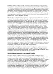 Pagrindinių literatūros kūrinių apžvalgos 2 puslapis