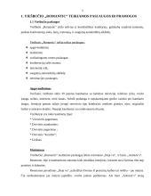 Poilsio organizavimas: viešbutis "Romantic" 3 puslapis