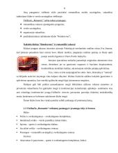 Poilsio organizavimas: viešbutis "Romantic" 6 puslapis