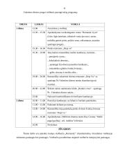 Poilsio organizavimas: viešbutis "Romantic" 9 puslapis