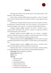 Prekė pagal 4P formatą 2 puslapis