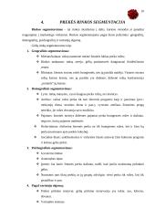 Prekė pagal 4P formatą 10 puslapis