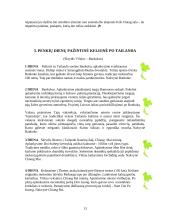 Tailandas ir turistiniai Tailando objektai 13 puslapis