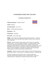 Tailandas ir turistiniai Tailando objektai 3 puslapis