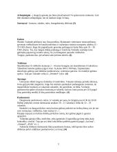 Tailandas ir turistiniai Tailando objektai 5 puslapis