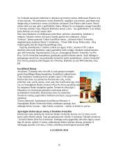 Tailandas ir turistiniai Tailando objektai 10 puslapis