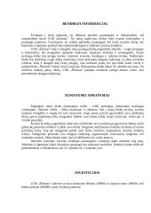 Verslo planas: pramogų klubas UAB "Šėlsmas" 2 puslapis