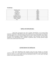 Verslo planas: pramogų klubas UAB "Šėlsmas" 6 puslapis