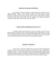 Verslo planas: pramogų klubas UAB "Šėlsmas" 7 puslapis