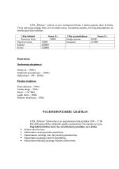 Verslo planas: pramogų klubas UAB "Šėlsmas" 10 puslapis