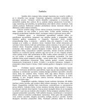 Transmisija ir sankaba 2 puslapis