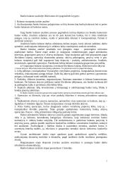 Banko balansinės ataskaitos analizė ir rodikliai 2 puslapis