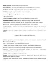 Bendrieji pedagogikos pagrindai. Didaktika 2 puslapis