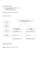 Bendrieji pedagogikos pagrindai. Didaktika 13 puslapis