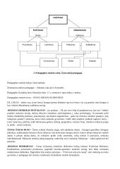 Bendrieji pedagogikos pagrindai. Didaktika 3 puslapis