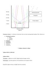 Bendrieji pedagogikos pagrindai. Didaktika 5 puslapis