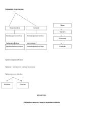 Bendrieji pedagogikos pagrindai. Didaktika 8 puslapis