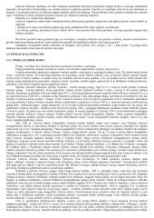 Visos ekonomikos temos 15 puslapis