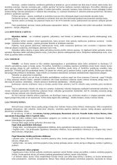 Visos ekonomikos temos 19 puslapis