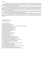 Visos ekonomikos temos 3 puslapis