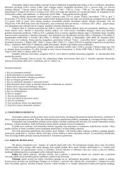 Visos ekonomikos temos 7 puslapis