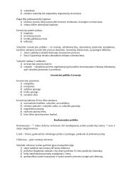 Ekonominė politika 12 puslapis