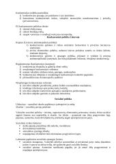 Ekonominė politika 13 puslapis