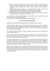 Ekonominė politika 15 puslapis