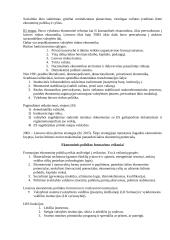 Ekonominė politika 3 puslapis